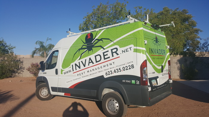 Invader Pest Management