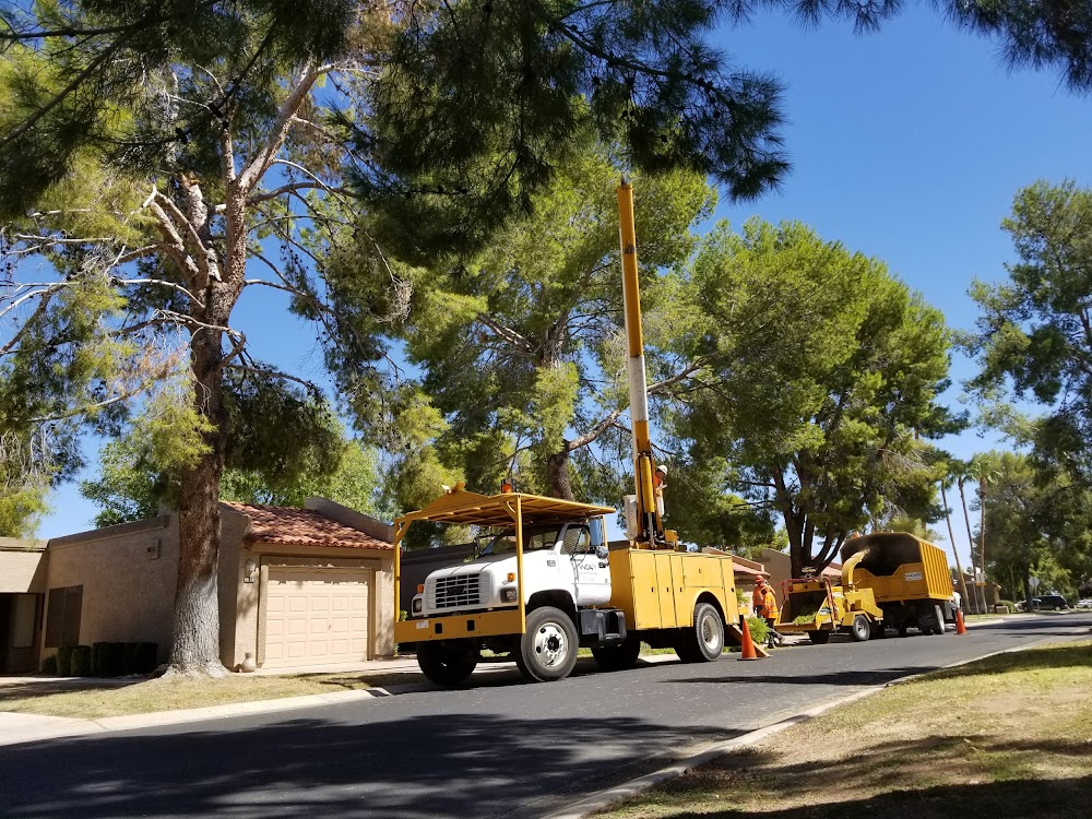 West Coast Arborists, Inc.